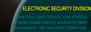 ELECTRONIC SECURITY SYSTEMS